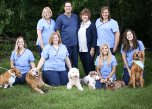 Contact Skipworth Veterinary Clinic in Richmond, KY